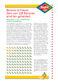 Factsheet »Banane im Fokus: Zehn von 100 Bananen sind fair gehandelt.«